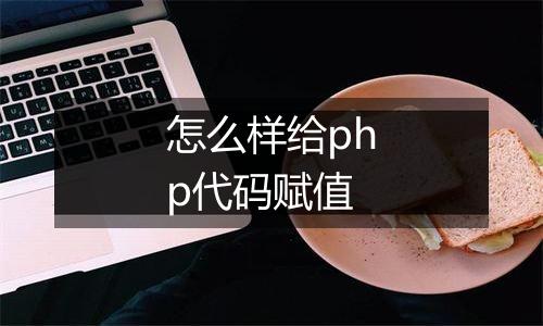怎么样给php代码赋值