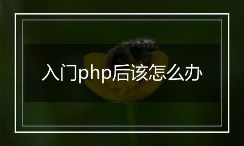 入门php后该怎么办