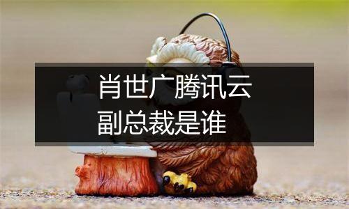 肖世广腾讯云副总裁是谁