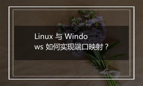 Linux 与 Windows 如何实现端口映射?