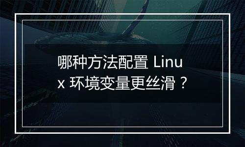 哪种方法配置 Linux 环境变量更丝滑?