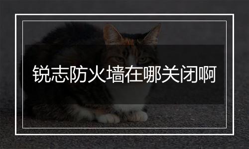 锐志防火墙在哪关闭啊