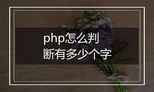 php怎么判断有多少个字