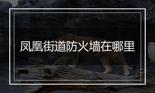 凤凰街道防火墙在哪里