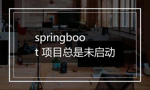 springboot 项目总是未启动