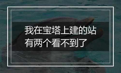 我在宝塔上建的站有两个看不到了