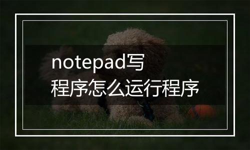 notepad写程序怎么运行程序