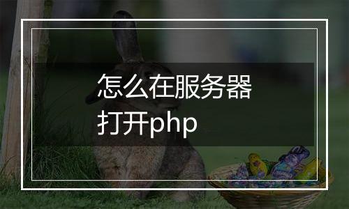 怎么在服务器打开php