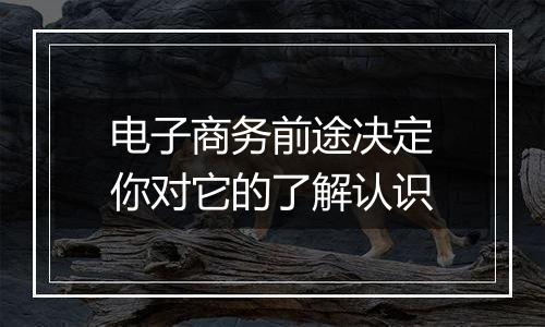电子商务前途决定你对它的了解认识