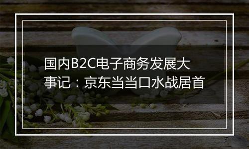 国内B2C电子商务发展大事记：京东当当口水战居首