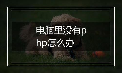 电脑里没有php怎么办