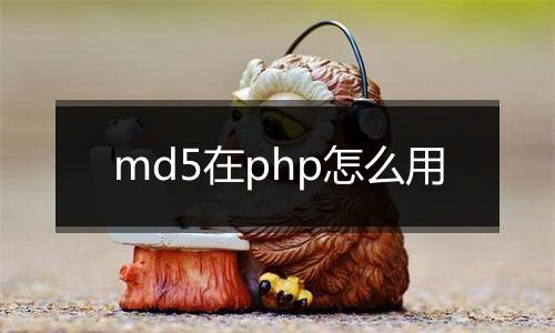 md5在php怎么用