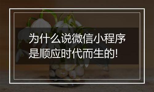 为什么说微信小程序是顺应时代而生的!