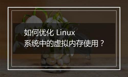 如何优化 Linux 系统中的虚拟内存使用?