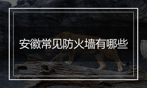 安徽常见防火墙有哪些
