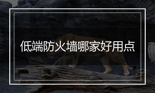 低端防火墙哪家好用点