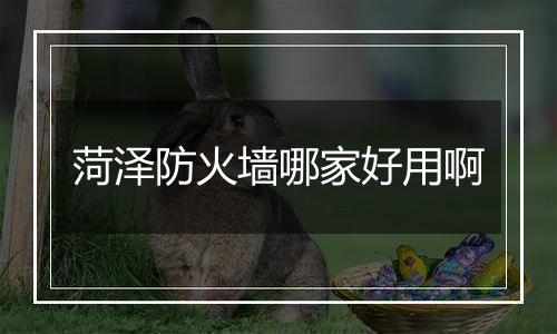 菏泽防火墙哪家好用啊