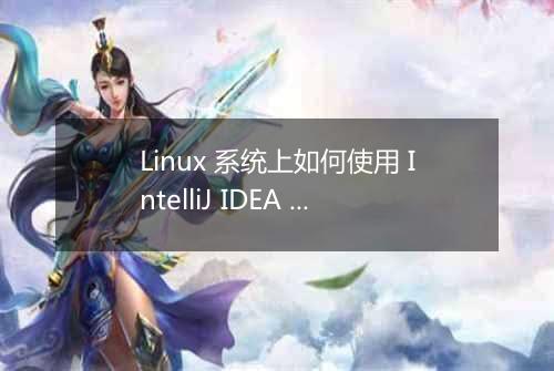 Linux 系统上如何使用 IntelliJ IDEA 进行区块链开发?
