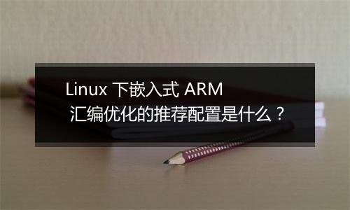 Linux 下嵌入式 ARM 汇编优化的推荐配置是什么?