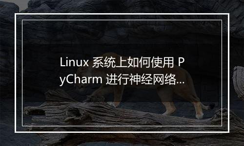 Linux 系统上如何使用 PyCharm 进行神经网络开发?