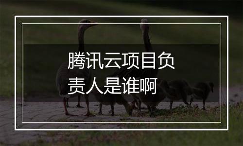 腾讯云项目负责人是谁啊