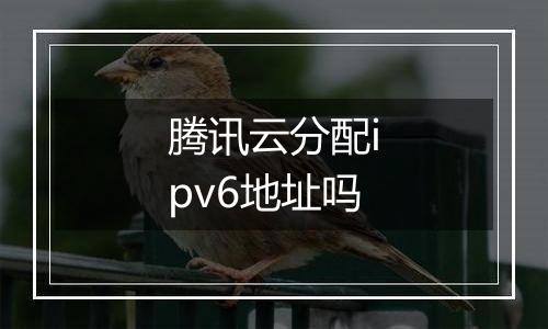腾讯云分配ipv6地址吗