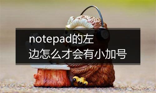 notepad的左边怎么才会有小加号