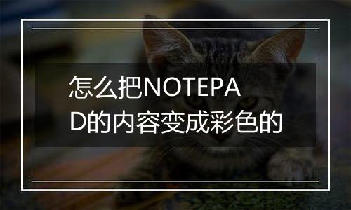 怎么把NOTEPAD的内容变成彩色的