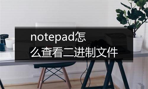 notepad怎么查看二进制文件