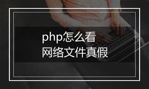 php怎么看网络文件真假