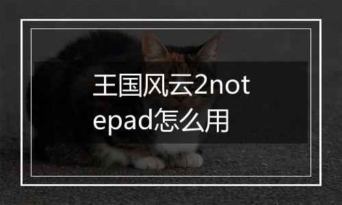 王国风云2notepad怎么用