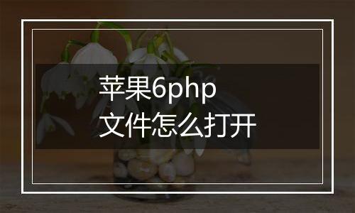苹果6php文件怎么打开