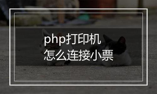 php打印机怎么连接小票