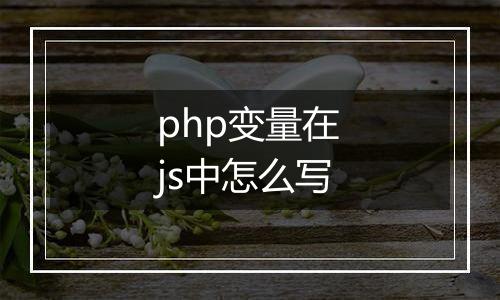 php变量在js中怎么写