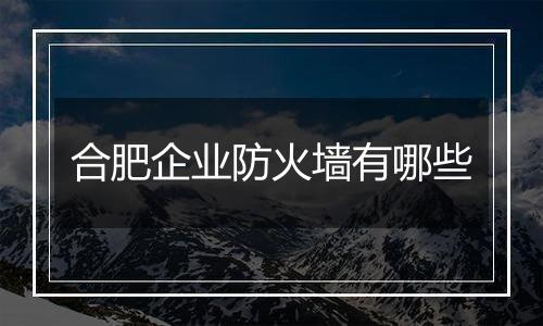 合肥企业防火墙有哪些