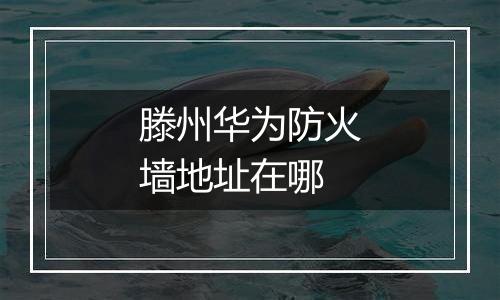 滕州华为防火墙地址在哪