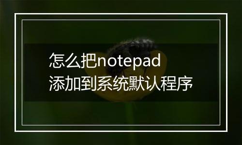 怎么把notepad添加到系统默认程序