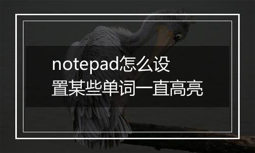 notepad怎么设置某些单词一直高亮