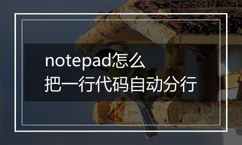 notepad怎么把一行代码自动分行