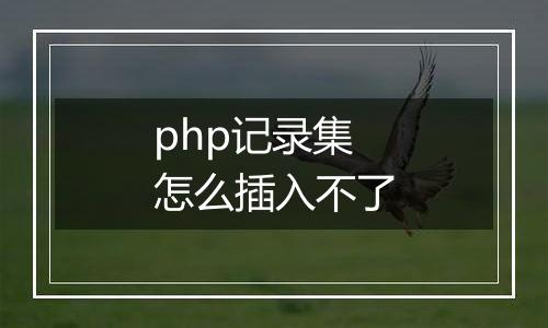 php记录集怎么插入不了