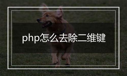 php怎么去除二维键
