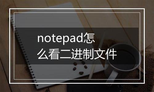 notepad怎么看二进制文件