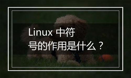 Linux 中符号的作用是什么？