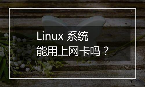Linux 系统能用上网卡吗?