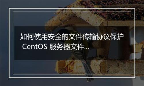 如何使用安全的文件传输协议保护 CentOS 服务器文件传输?