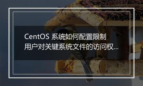 CentOS 系统如何配置限制用户对关键系统文件的访问权限?