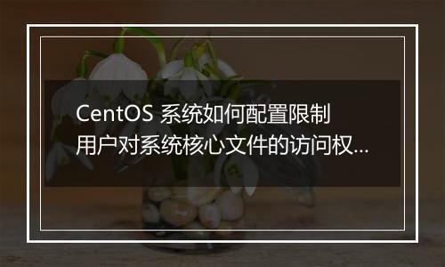 CentOS 系统如何配置限制用户对系统核心文件的访问权限?
