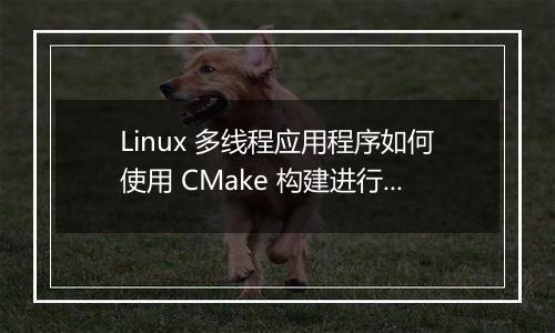 Linux 多线程应用程序如何使用 CMake 构建进行配置?