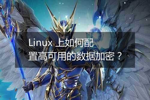Linux 上如何配置高可用的数据加密？