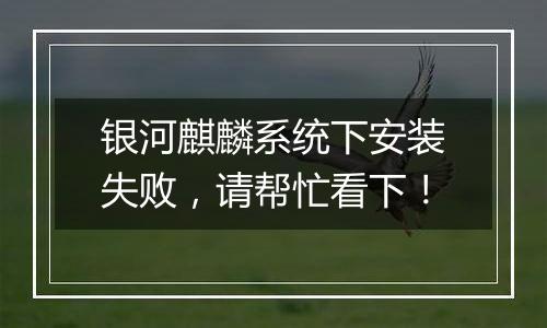 银河麒麟系统下安装失败,请帮忙看下!